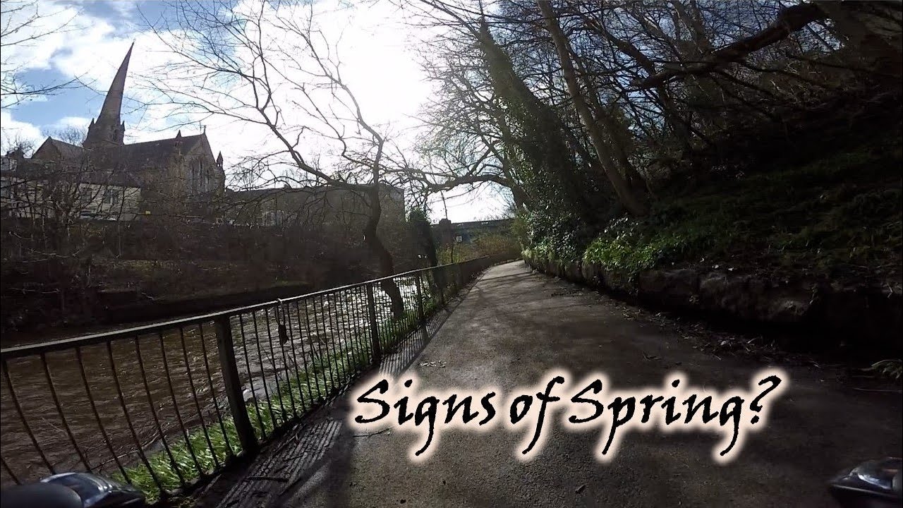 Signs of Spring?  Cycling in Glasgow || March 2023