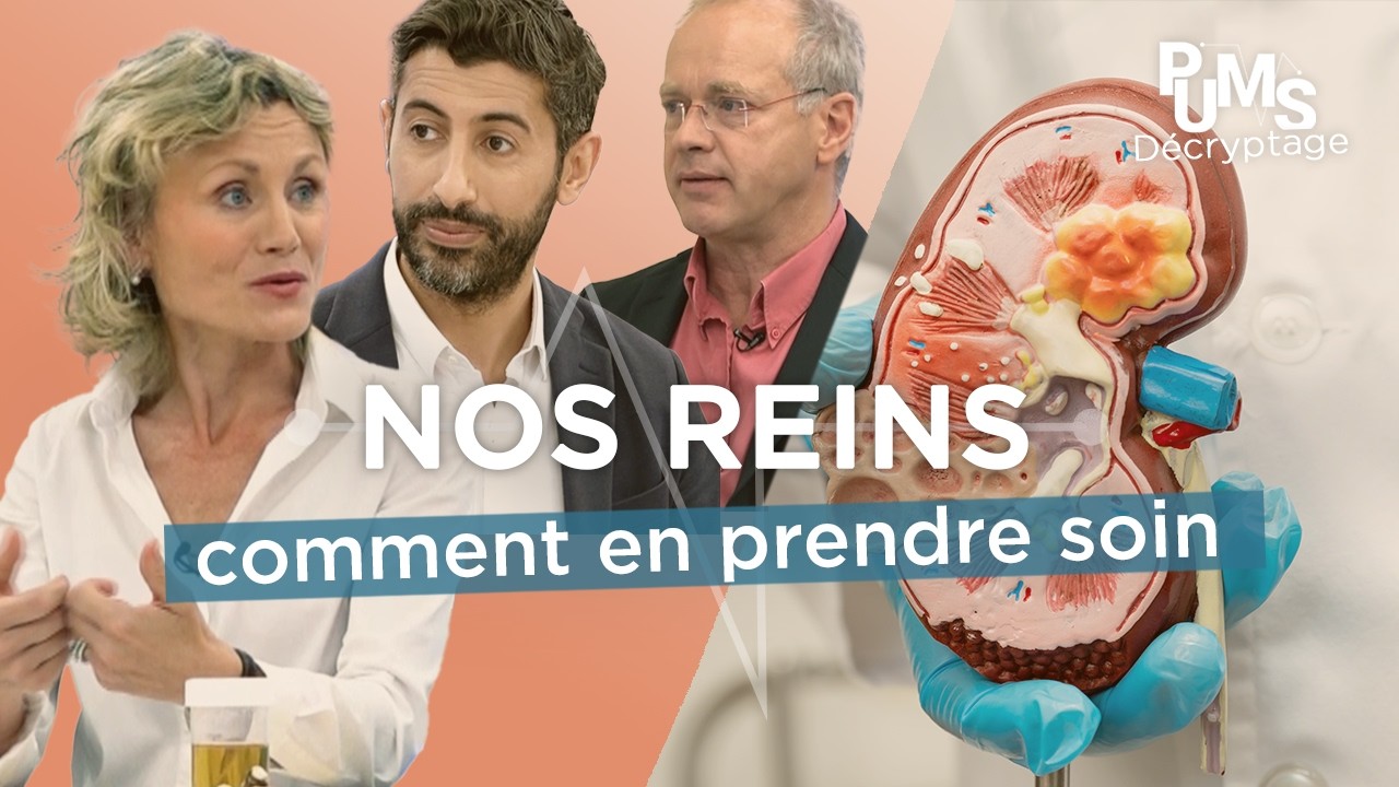 Comment PROTÉGER SES REINS ? Insuffisance rénale, maladie rénale, calcul rénal, colique néphrétique