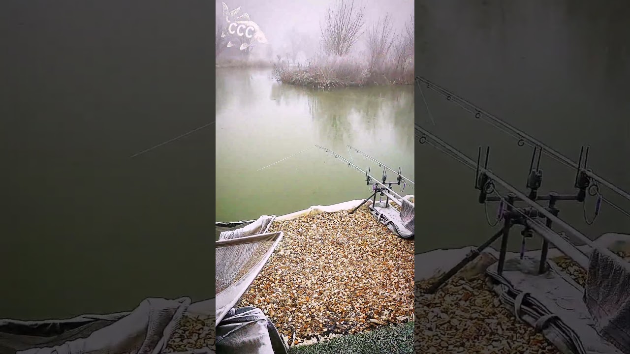Ice on the Scales ❄️🎣 | Frozen Carp Gear at Coking Farm Fishery 