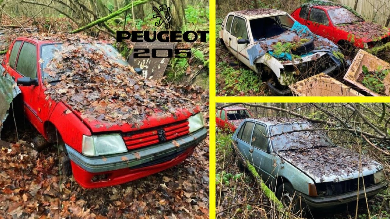 Urbex #51 Un cimetière de Peugeot 205