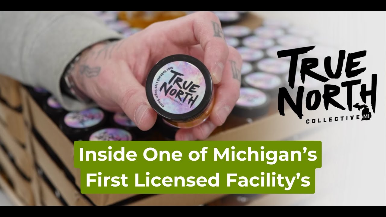 From Caregivers to Legal Cannabis: Inside True North Collective (Michigan)