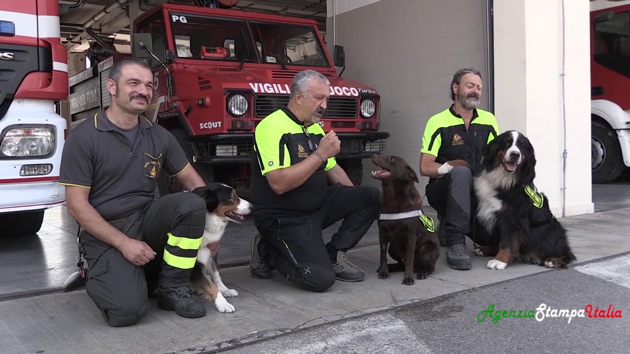Crollo Ponte Genova. I cani eroi dei vigili del fuoco dell'Umbria