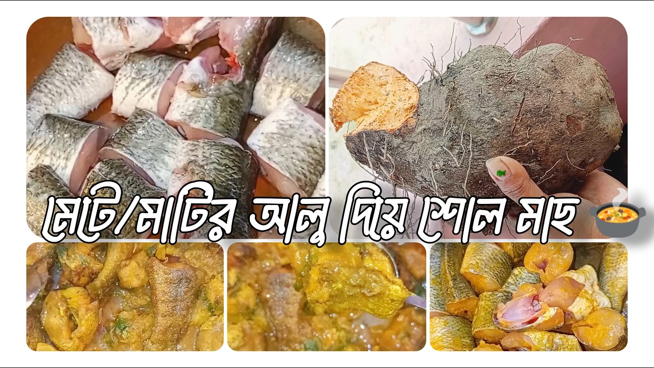 মেটে/মাটির আলু দিয়ে শোল মাছের ঝোল