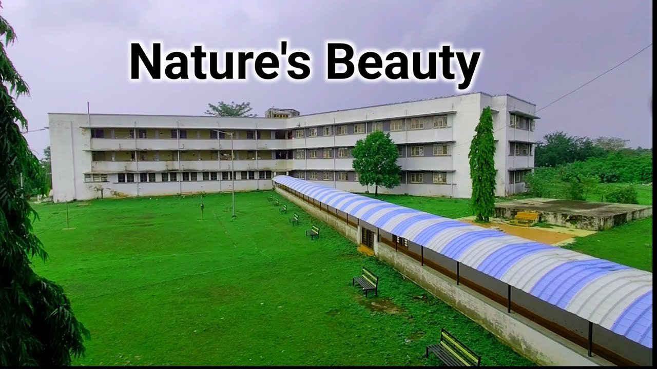 Nature's Beauty BGM ✨Rain Time 🌧️Forest Video No Copyright View