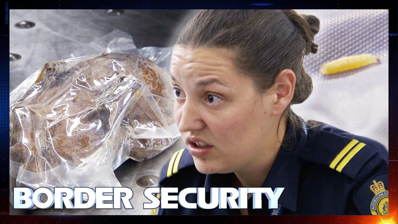 Smelly Luggage Is Infested With Maggots and Full Of Raw Fish 🤢 S10 E2 | Border Security Australia