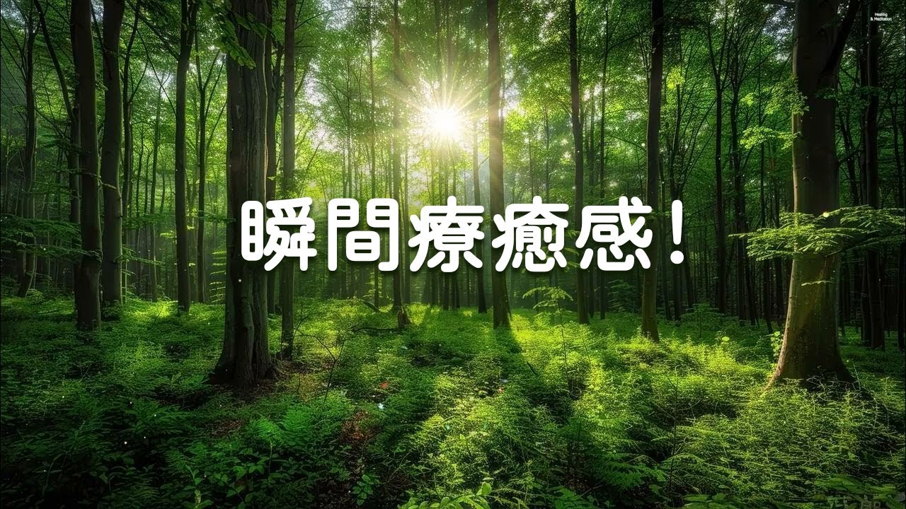 【100% 無廣告, 瞬間療癒感!】讓不安的心慢慢消失的森林輕音樂 - 高品質放鬆音樂, 清除負面能量, 宮崎駿 水晶音樂, 每天調心洗滌心性, 冥想音樂.....