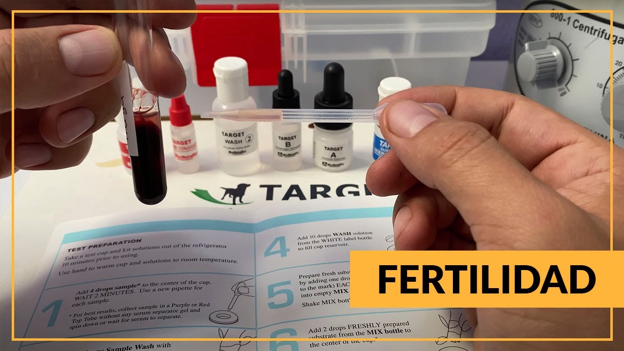 Test fácil de progesterona para perros 🐶
