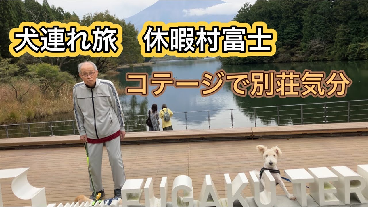 【犬連れ旅　静岡県 休暇村・富士】 84歳親父と愛犬マロン🐶 犬と泊まれるコテージと充実のビュッフェを楽しむ
