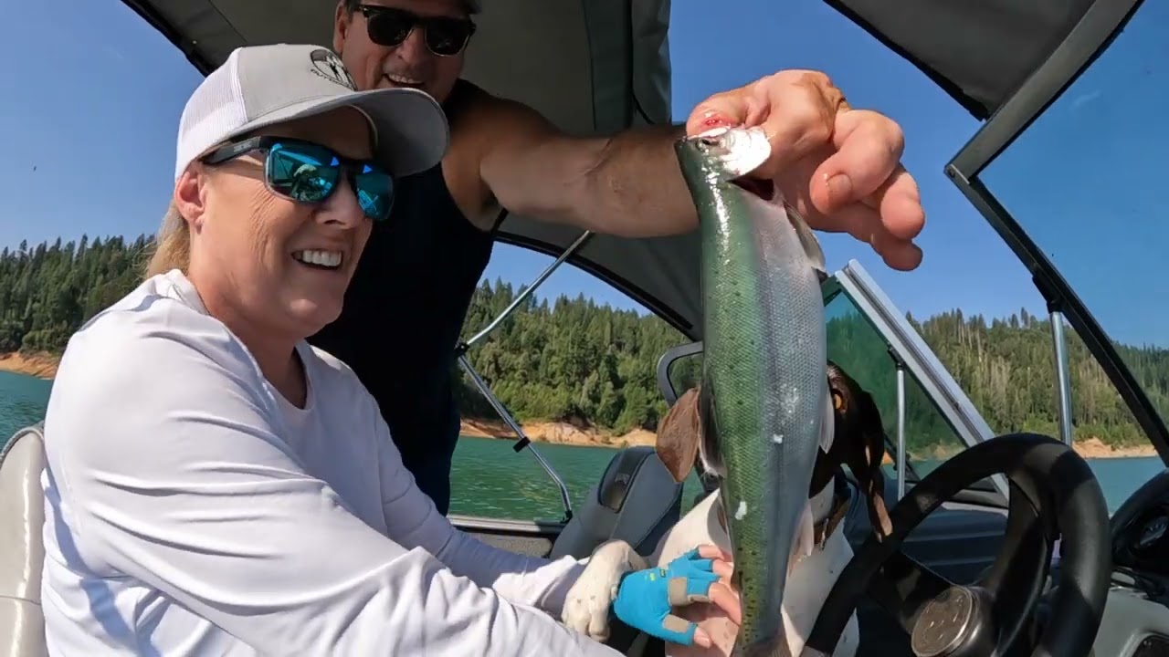 BULLARDS BAR RESERVOIR,  KOKANEE MADNESS! #kokaneefishing #kokanee #trolling #lundboats #mercury
