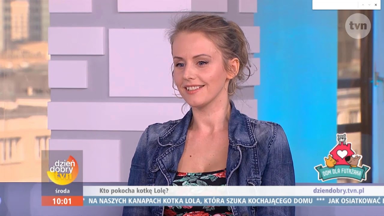 Pomagajcie, adoptujcie koty, ale z głową!