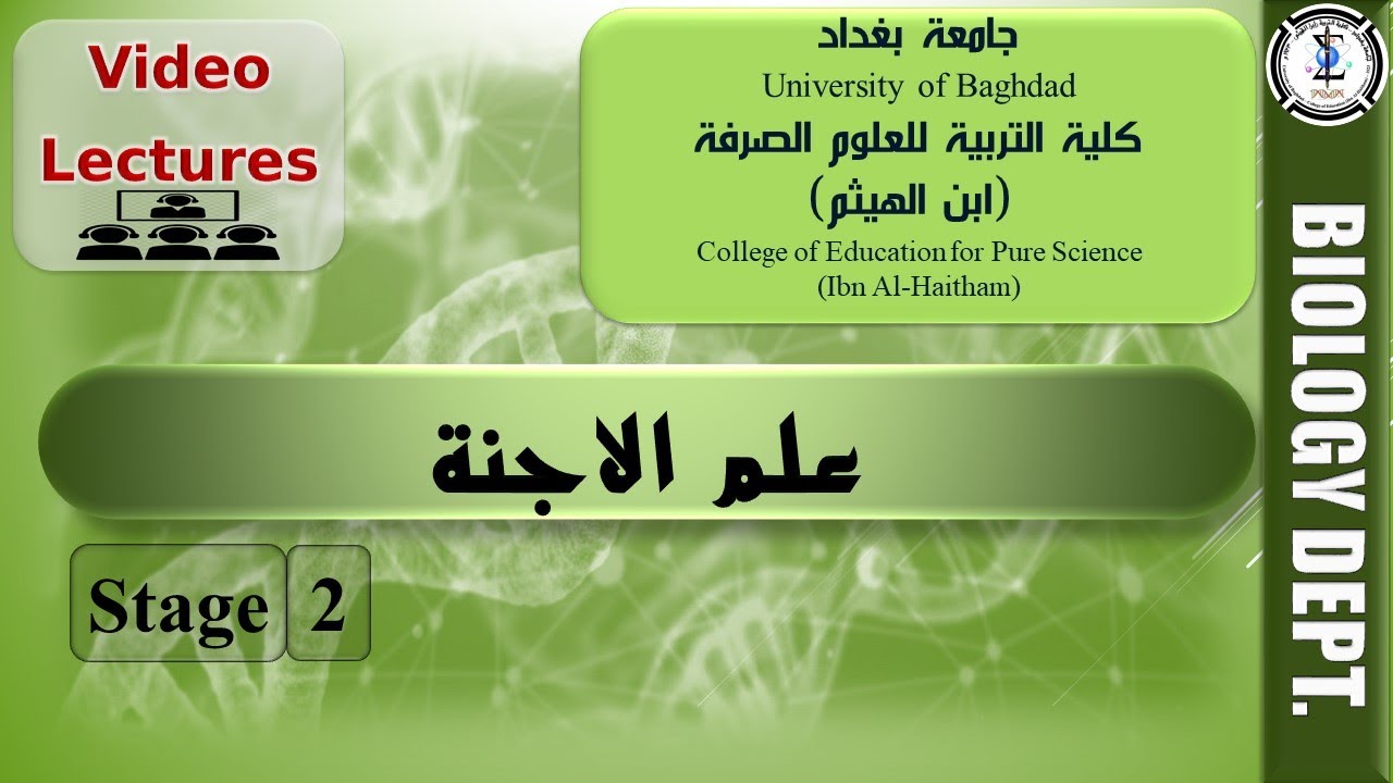 التكوين الجنيني في الرميح  - محاضرات علم الاجنة - (م.د. اسماء بشير عبد)
