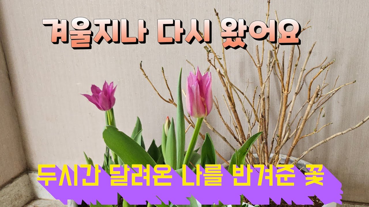 겨울지나 다시 왔어요