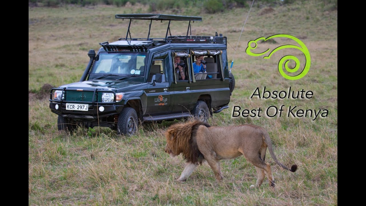 Absolute Best Of Kenya