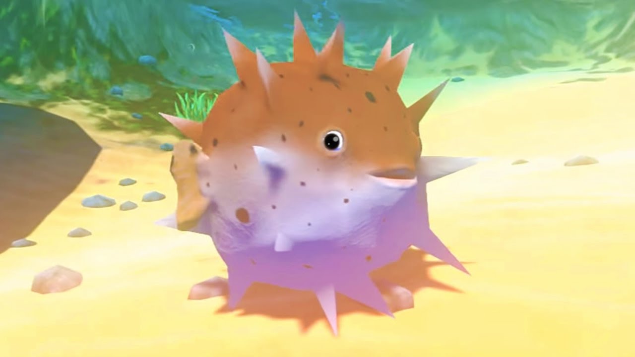 FISH CHALLENGE! CUTEST PIMPLE FISH! FISH THAT CAN BLOAT UP! DOG FISH! FEED AND GROW FISH