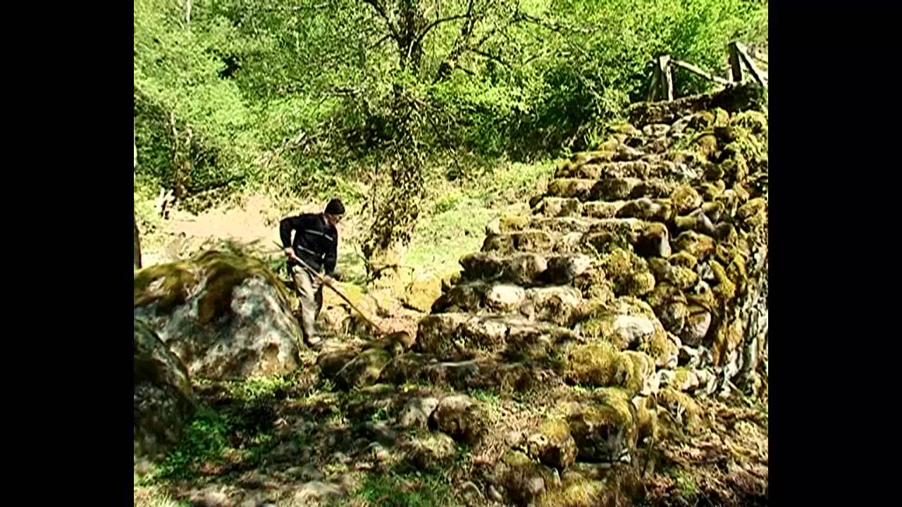 ERTI DGE SOFELSHI SOFELI MARADIDI