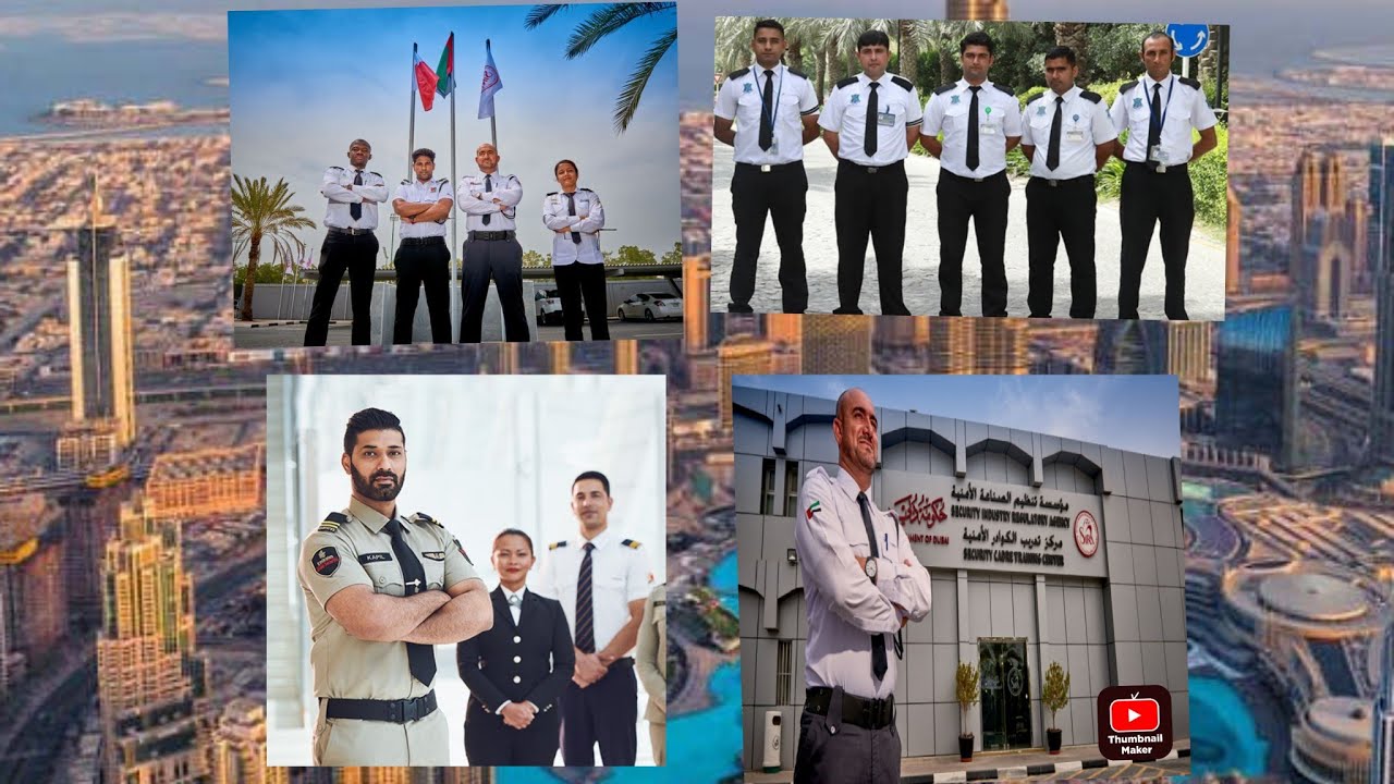 what is the differences between IN ( P.S.B.D, D.P.S, S.I.R.A) security guards