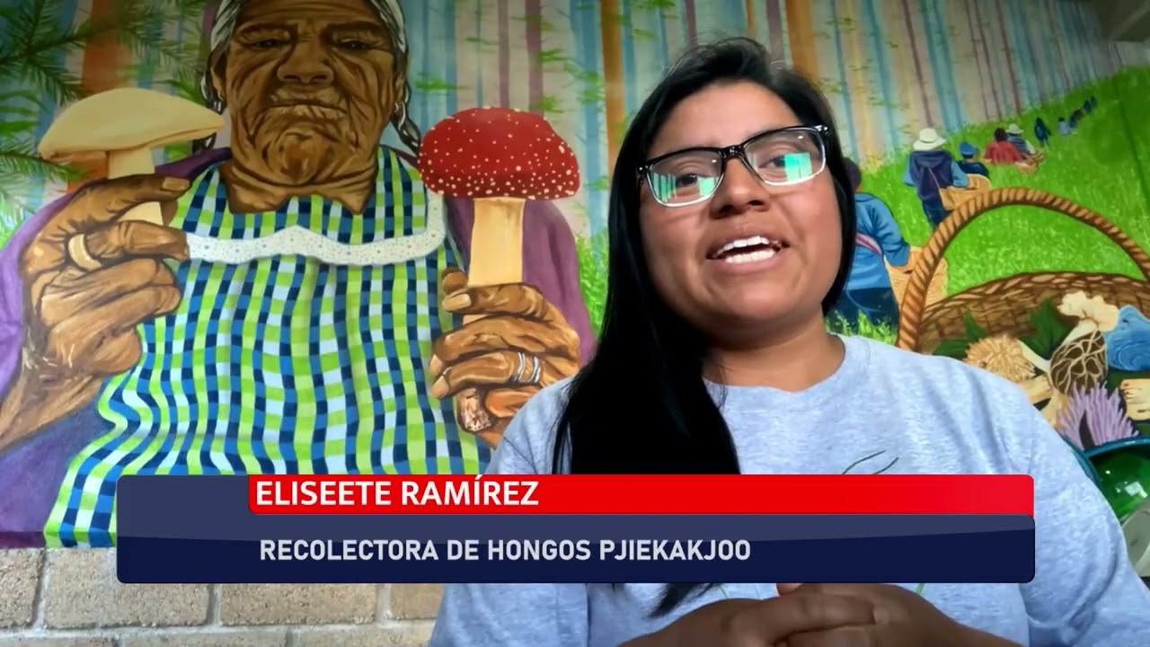 El micoturismo