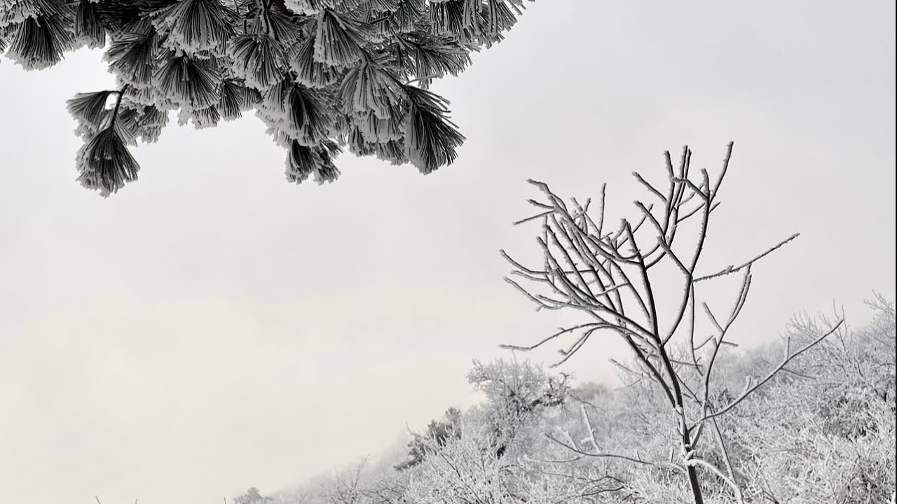 Lil Liem, Xoxad - Hãy cho con chịu đau khổ thay em (Winter Version)