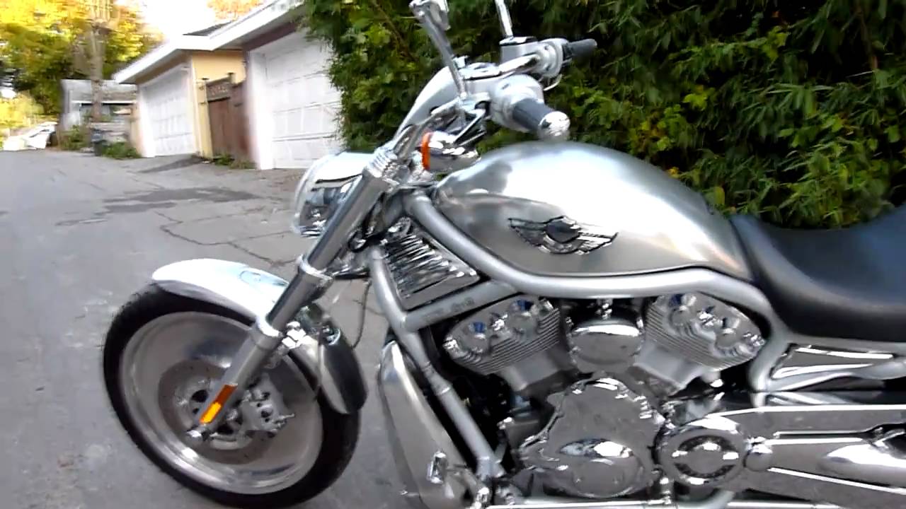 2003 Harley V-Rod