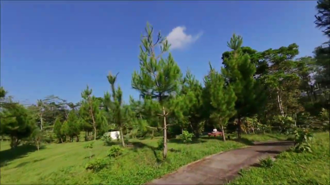 Drone Micin FPV DJI O4 Lite