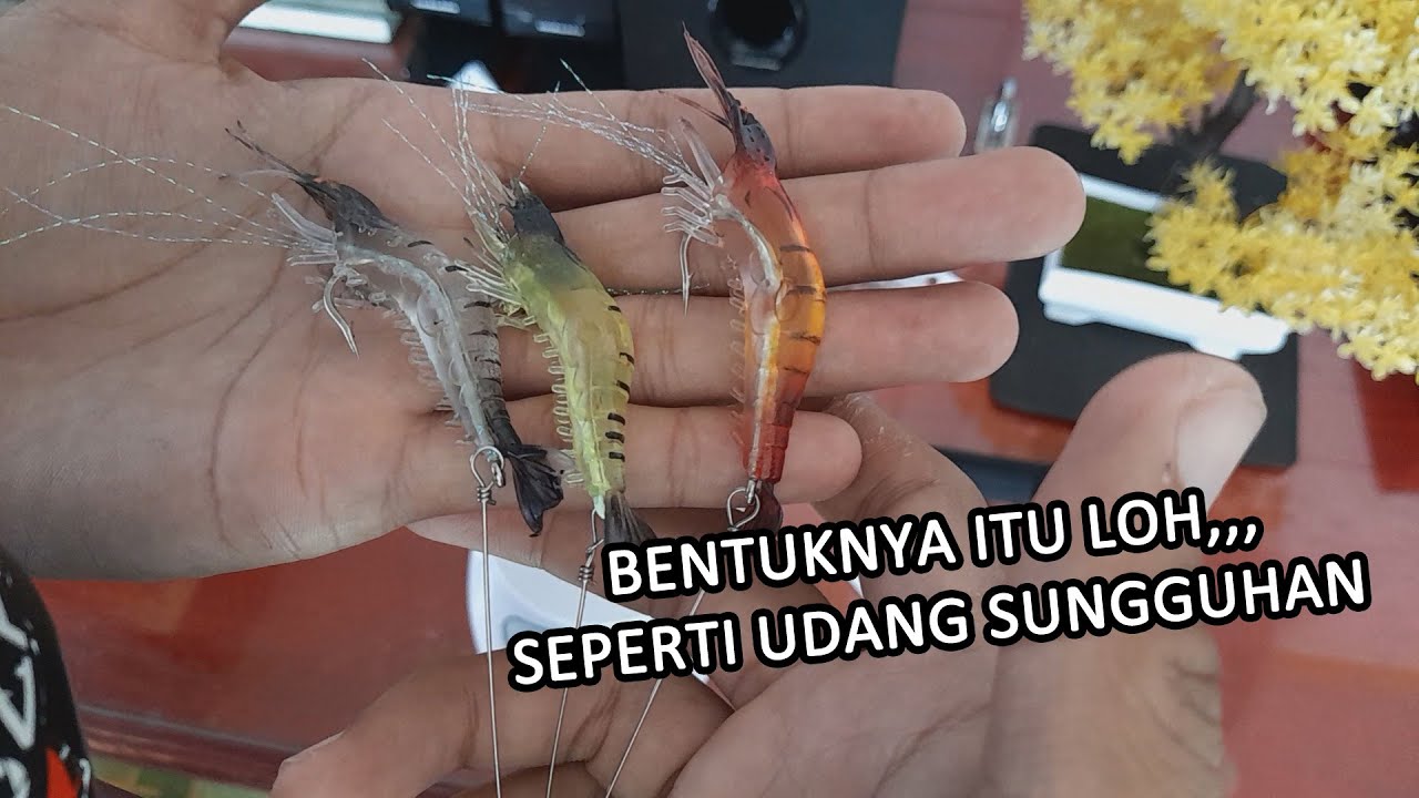 UNBOXING LURE UMPAN PANCING SOFT BERBENTUK UDANG |IKAN PASTI LANSUNG TERPESONA|