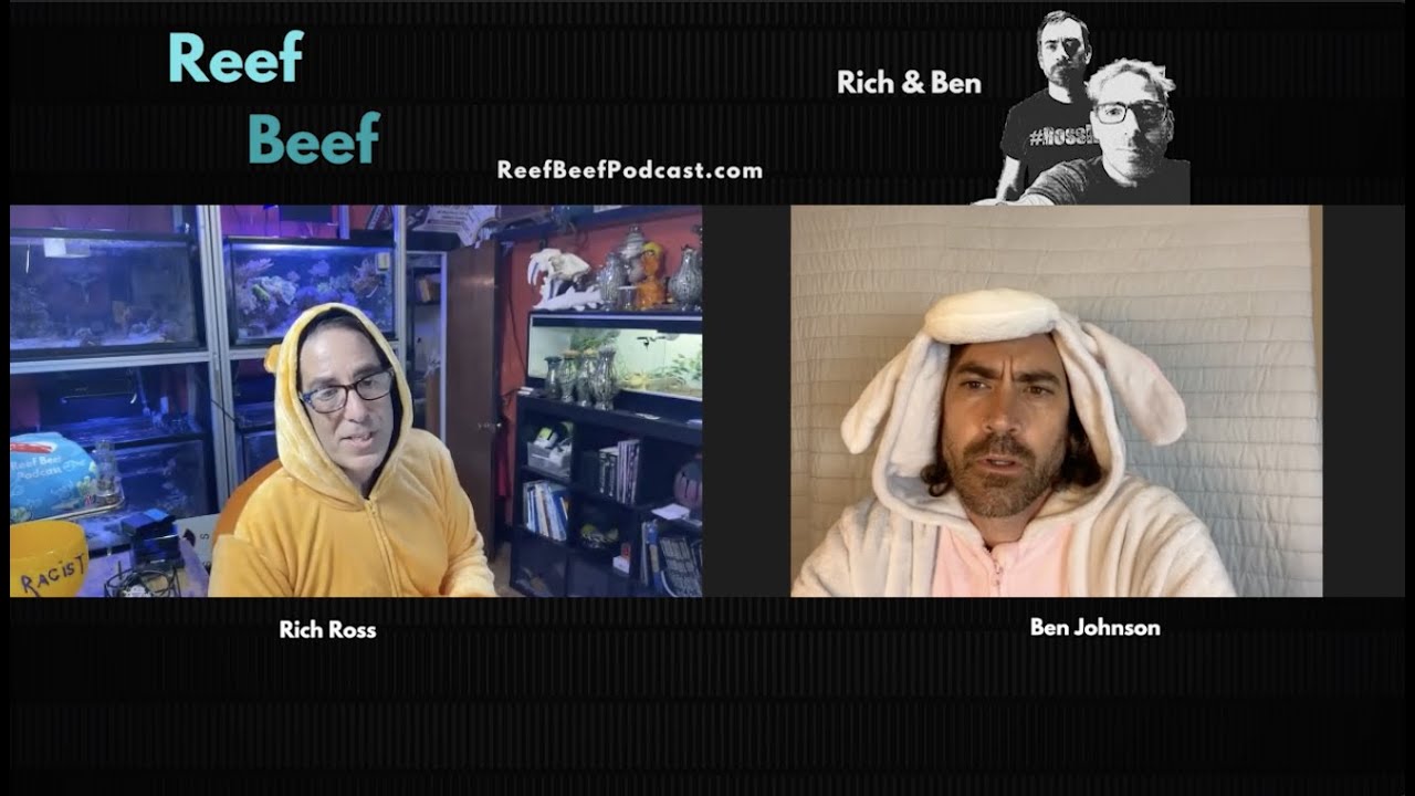 Reef Beef Chunks - Lanthanum Chloride - From Episode 12