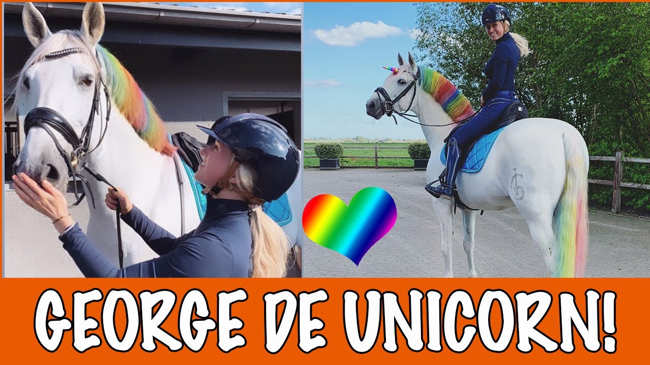 GEORGE OMTOVEREN TOT UNICORN! 🦄 | PaardenpraatTV