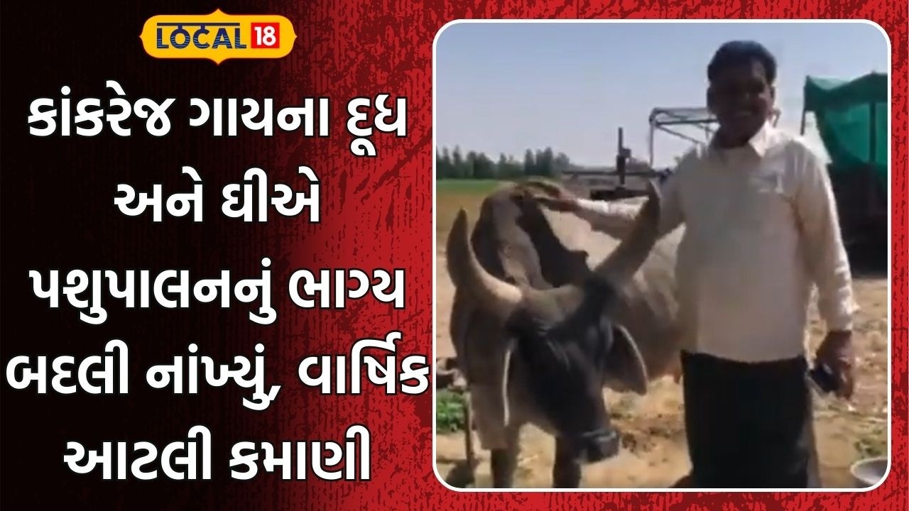 Patan News | કાંકરેજ ગાયના દૂધ અને ઘીએ પશુપાલનનું ભાગ્ય બદલી નાંખ્યું, વાર્ષિક આટલી કમાણી | Local18
