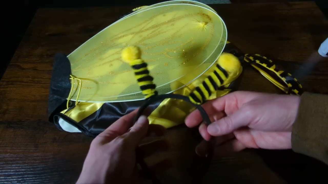 Bee Costume Review
