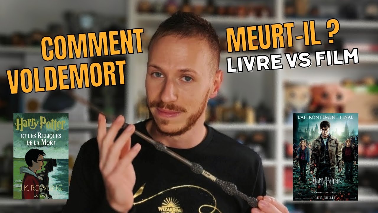 LIVRE VS FILM: COMMENT VOLDEMORT MEURT-IL ?
