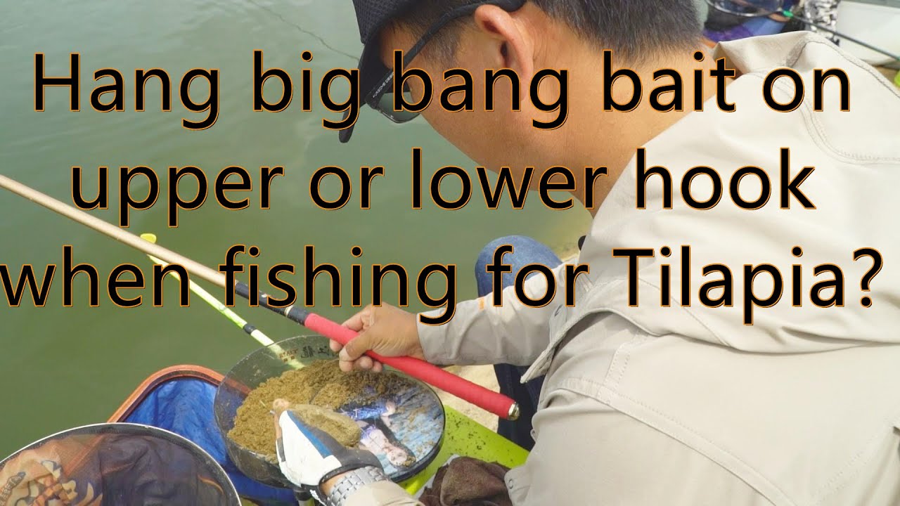Hook big bang bait up or down when fishing for tilapia