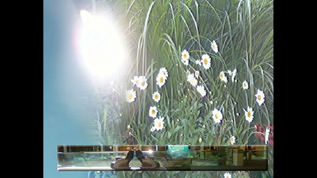 *free* ethereal cloud rap x trillwave x ambient type beat - 