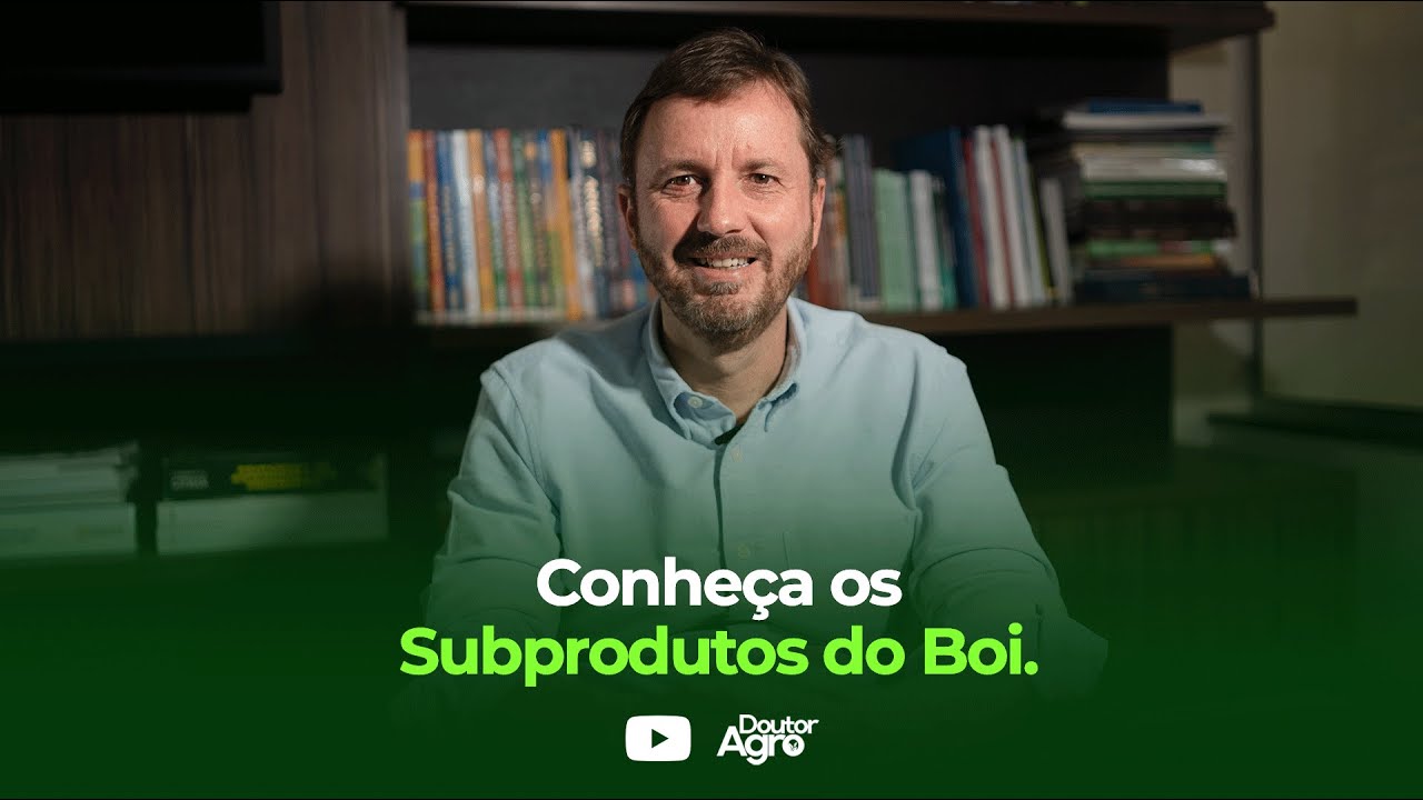 Conheça os Subprodutos do Boi | Doutor Agro | Marcos Fava Neves