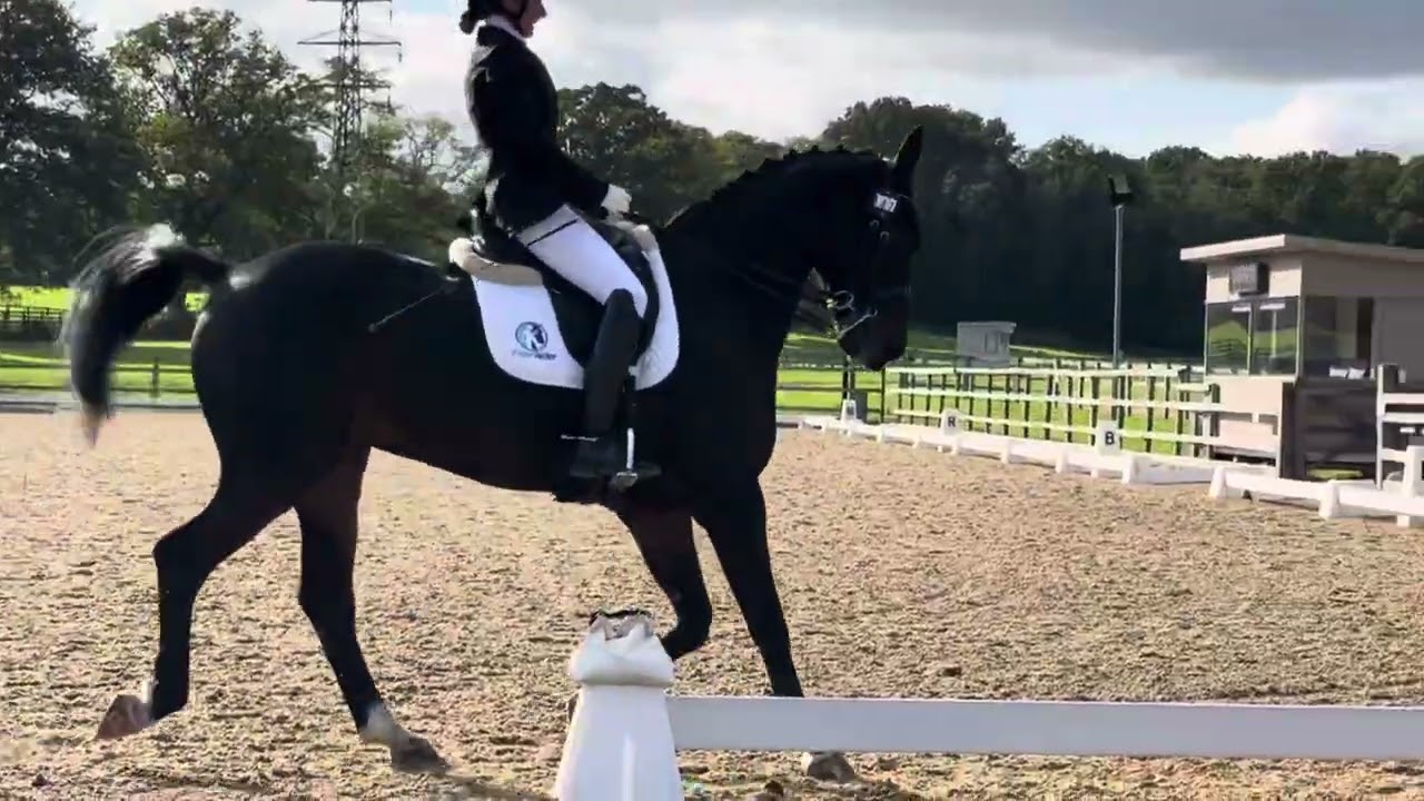 Camilla and Seven - Parwood 10.10.24 advanced medium 4