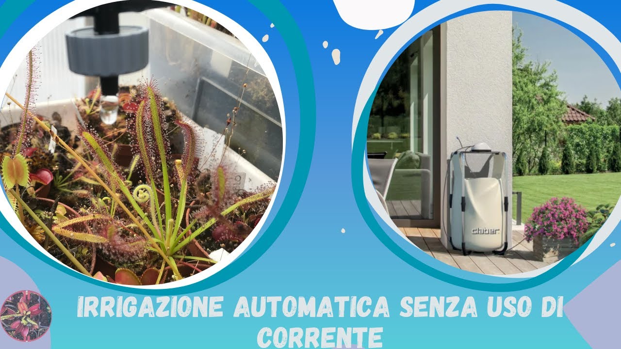 Irrigazione AUTOMATICA, supporto per l'estate