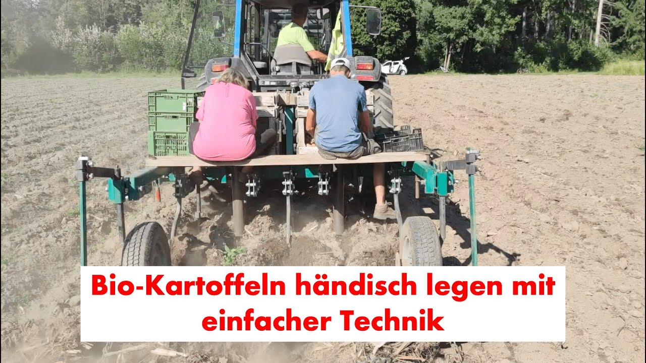 Kartoffeln legen im 90cm Damm