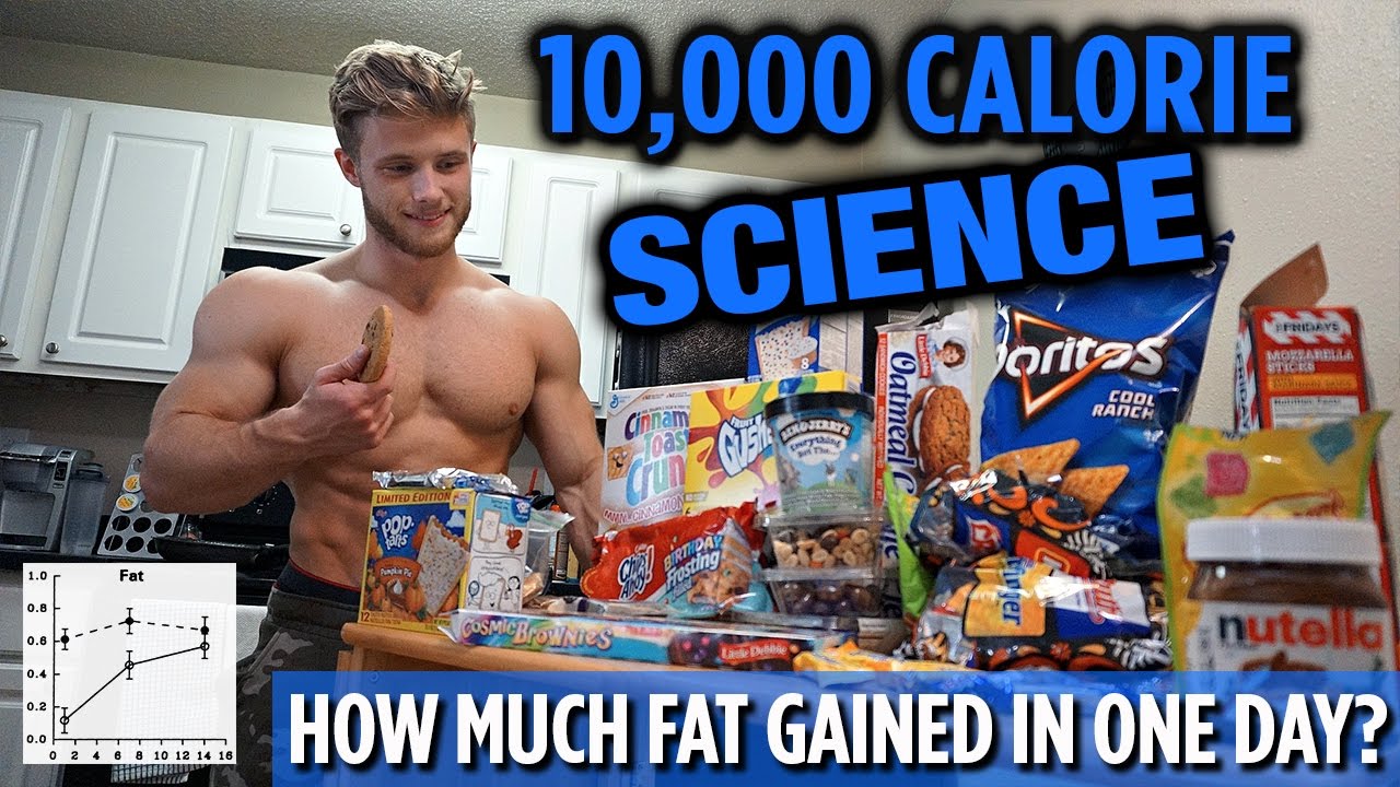 10,000 Calorie Challenge SCIENCE Explained | How Much Fat Gained in One Day?