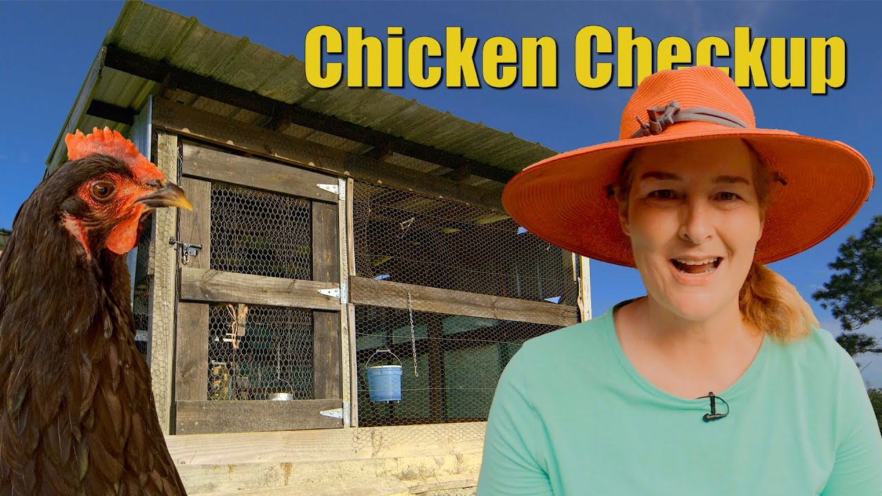 5 Chicken Coop Problems I fix in ONE DAY - Chicken Checkup 102 - Maria