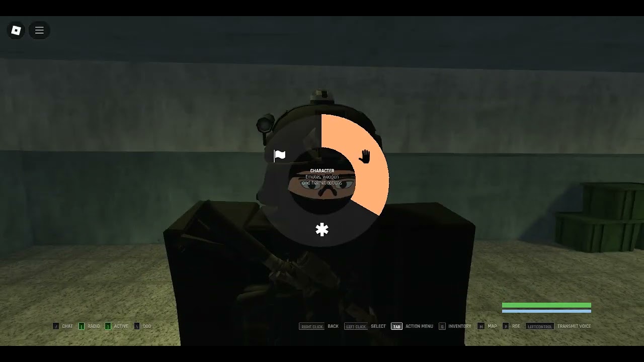 SWAT (This is an old video btw so i don't really know what I'm doin)