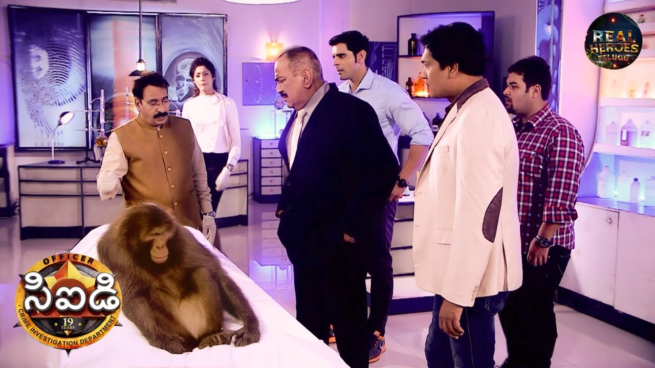 అడవిలోంచి పారిపోయిన కోతి సహాయంతో సీఐడీ ఈ మిషన్‌ను ఎలా పరిష్కరించింది? |  CID Telugu | New Full EP