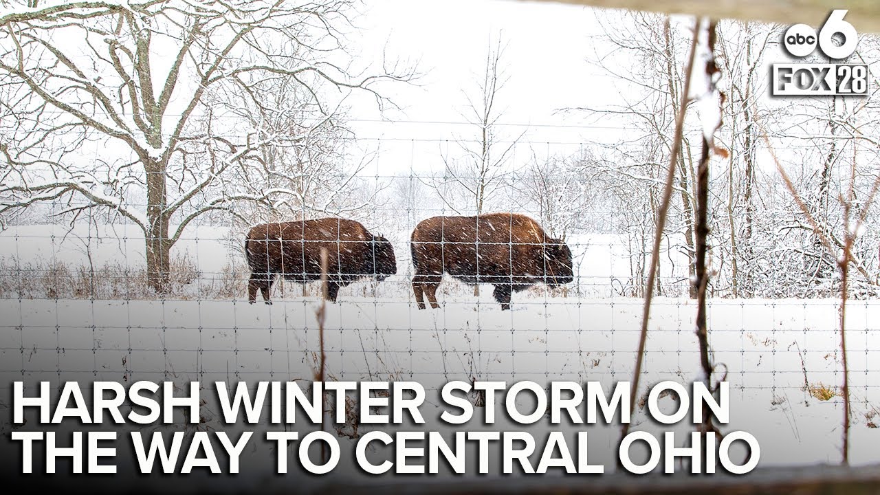 Winter storm arrives in Central Ohio today