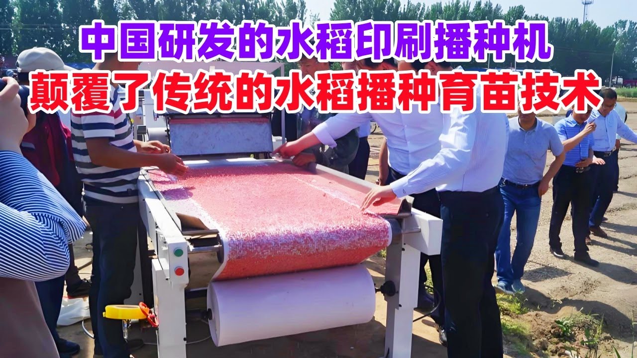 中国研发的水稻印刷播种机，颠覆了传统的水稻播种育苗技术，遥遥领先！