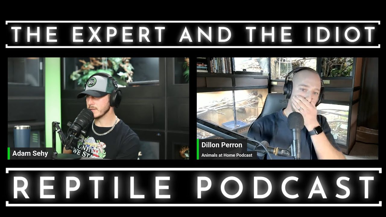 102 - Dillon Perron Wanted to END Animals At Home Podcast - The Expert and The Idiot