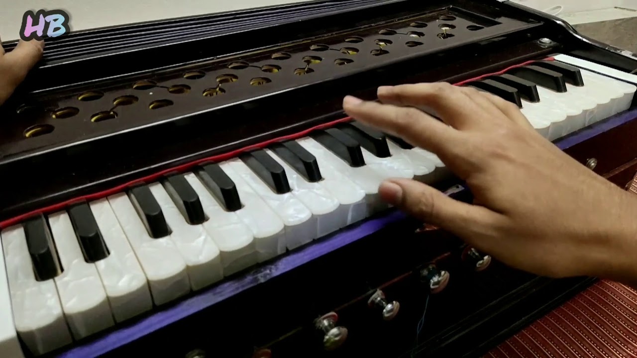 Despacito (Luis Fonsi) Harmonium Cover