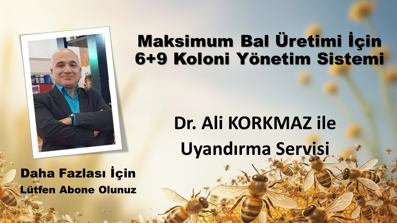 Maksimum Bal Üretimi İçin 6+9 Koloni Yönetim Sistemi