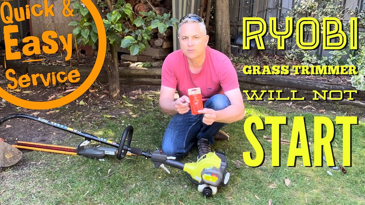 Ryobi Grass Line Trimmer Whipper Snipper Won't Start - How To Service and get it to Run! RLT254CDSO
