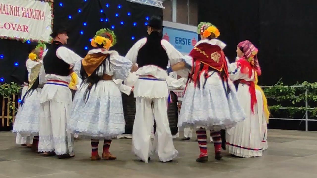 14. večer nacionalnih manjina (19)