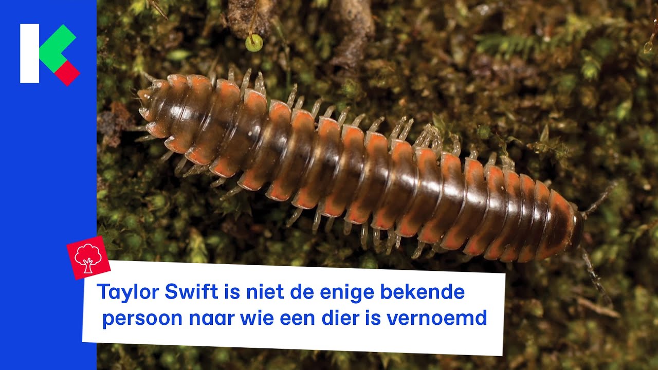 wetenschapper noemt miljoenpoot naar zijn favoriete zangeres