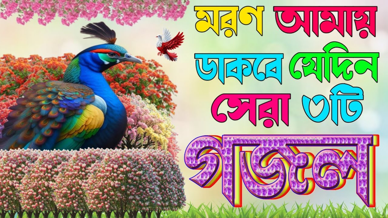 Notun mahe Romzaner rozar gojol এই গজলটি একবার শুনুন আপনার মরনের কথা একবার হলেও স্মরণ হবে |New gojol