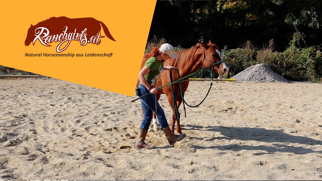 Training L3: Indirektes Gefühl: Vorhand weichen (Stick), 3 Tritte